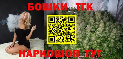 гашик Кинель