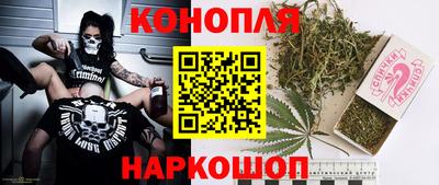 гашик Кинель