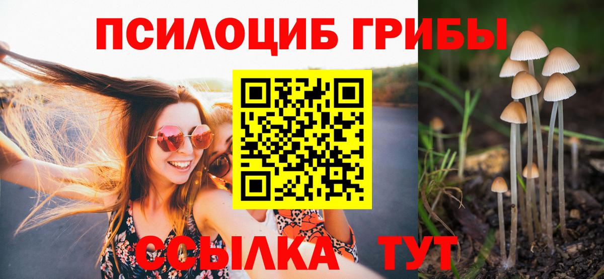 Бирск  Псилоцибиновые грибы GOLDEN TEACHER  Вход с VPN  Галлюциногенные грибы Psilocybine cubensis 
